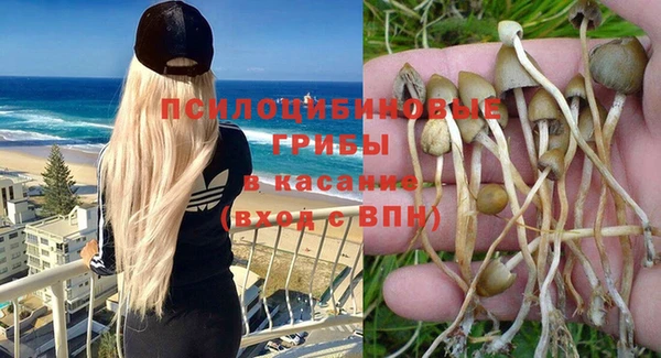 трава Мегион