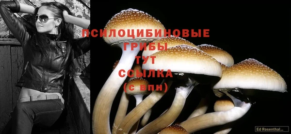 дживик Медвежьегорск