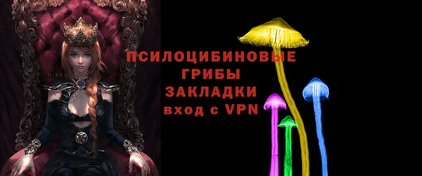 дживик Медвежьегорск