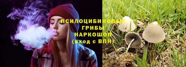 трава Мегион