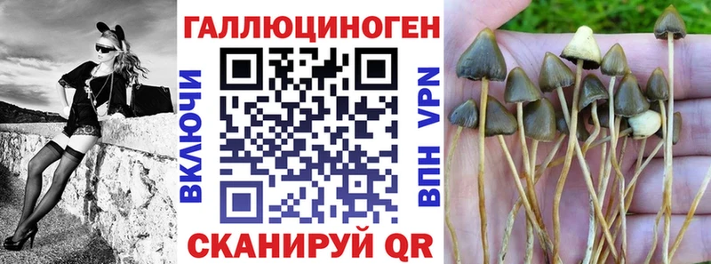 Галлюциногенные грибы мицелий  Нижневартовск 